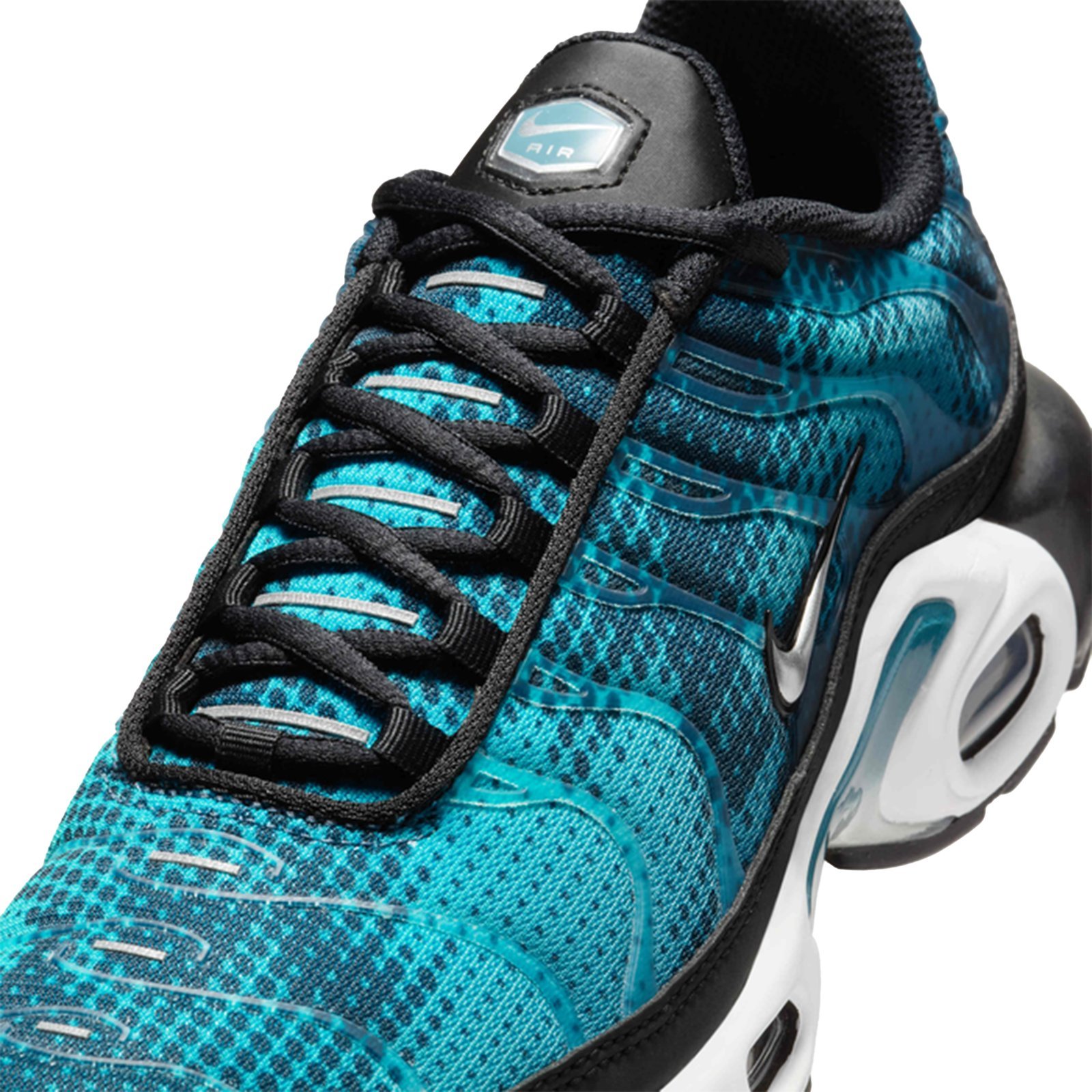 Nike Air Max Plus TN Dusty Cactus