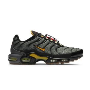 Nike Air Max Plus TN Fresh Perspective